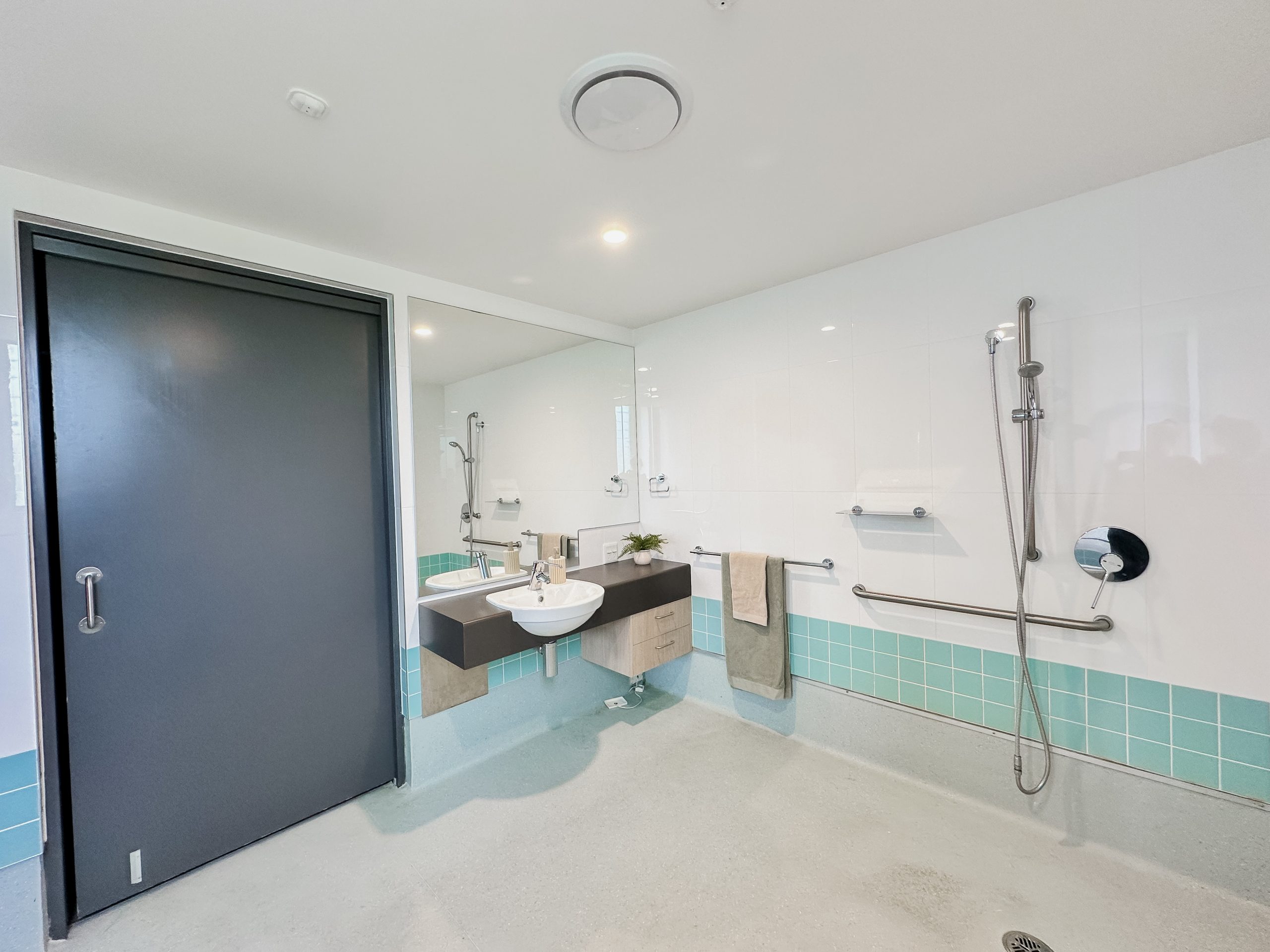 Accessible bathroom with a wide entry door, wall-mounted sink, grab bars, mirror, towel rail, and a roll-in shower with a handheld showerhead; pale blue and white tile accents the walls.