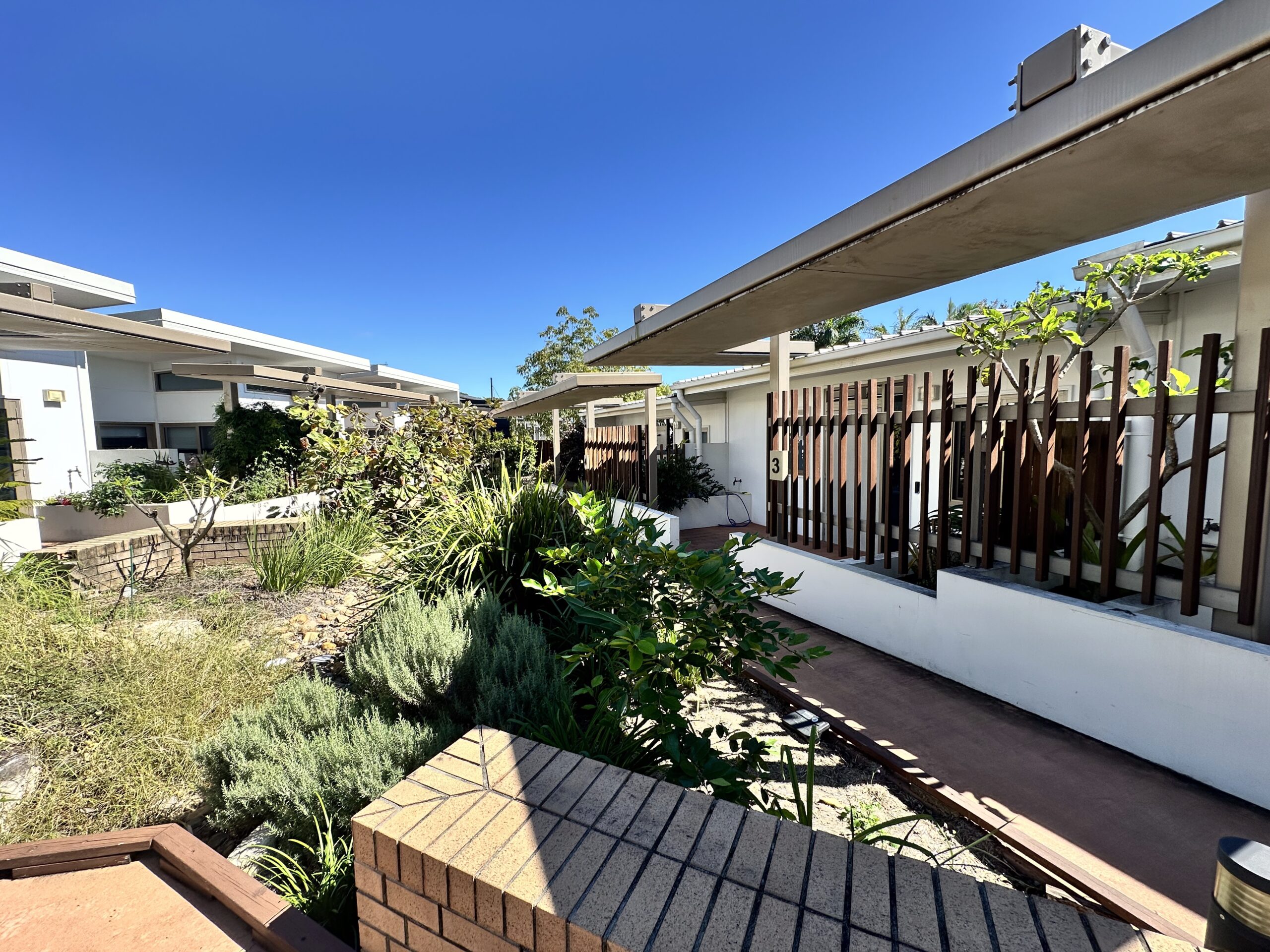 A sunny courtyard with lush green plants, shrubs, and small trees, surrounded by modern white buildings with flat roofs and wooden railings. The sky is clear and blue.