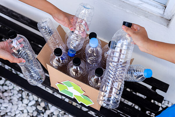 Two people place empty plastic bottles into a cardboard box with a recycling symbol on it, promoting recycling and environmental awareness. The box is on a bench near white stones.